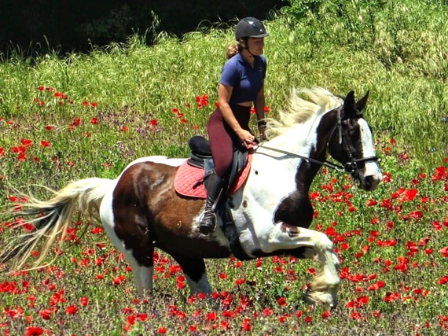 Family Riding Holiday in Tuscany 